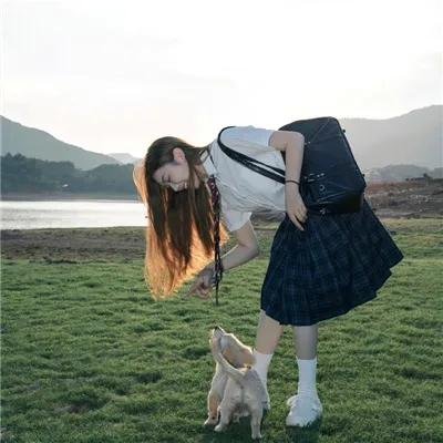小犬与女孩